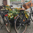 Cykeleventyr i København 