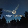DroneArt Show: Harry Potter™ en el Parque Regional Miramar