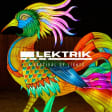 LEKTRIK ART: A Festival of Lights