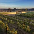 Helicopter Winery Lunch to Hubert Estate in Yarra Valley