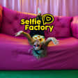 Selfie Factory: un divertido museo inmersivo en CDMX