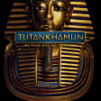 Tutankhamun: His Tomb and His Treasures