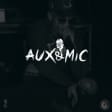 Aux & Mic