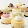 ﻿Pack of flavored mini cheesecakes in Cheesecake Avenue