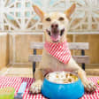 Hornea para tu cachorro: Golosinas nutritivas para perros - NYC