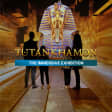 Tutankhamun: The Immersive Exhibition