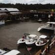 Behind the Scenes of Shem Creek Shrimp Walking Tour