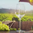 Hudson Valley Fall Wineries Day Trip
