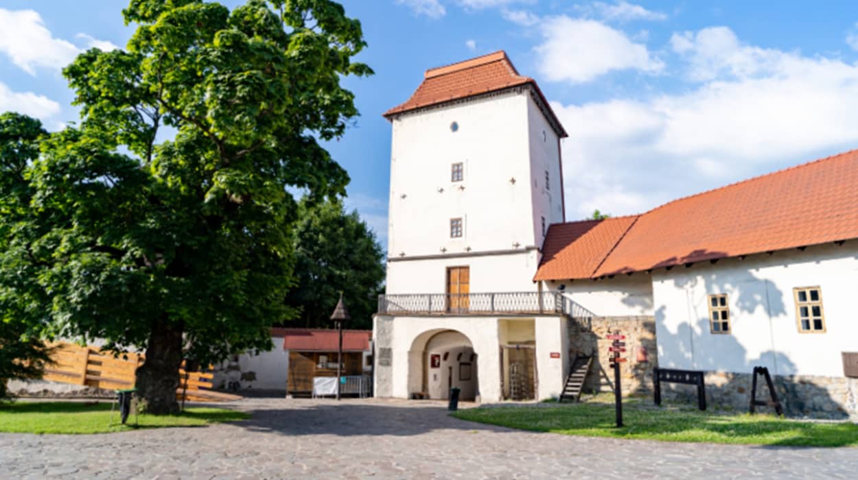 Slezskoostravský hrad