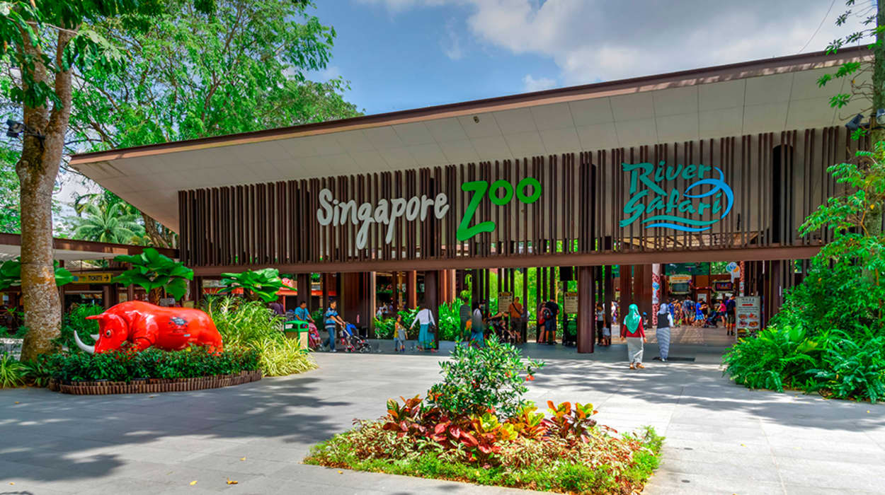 Singapur Zoo
