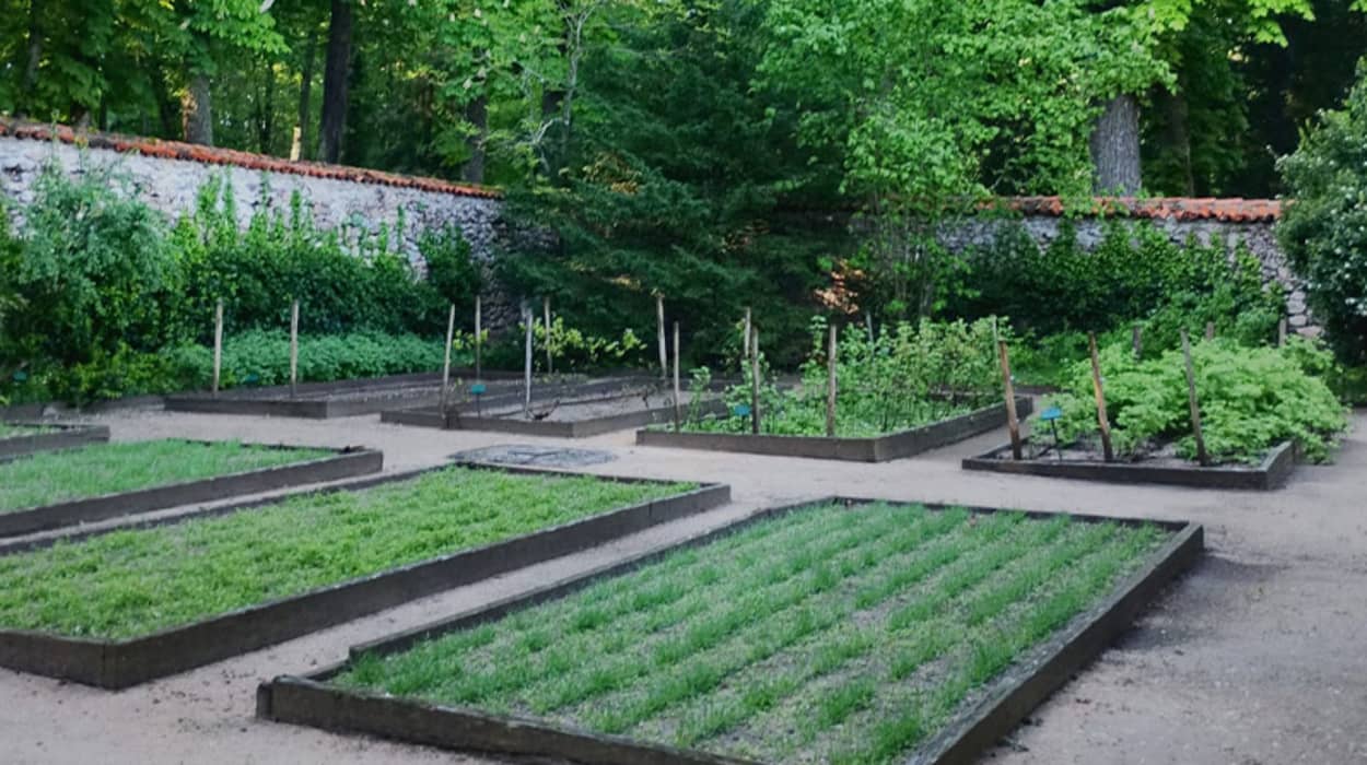 Guided Tour of the Royal Apothecary Garden at La Granja de San Ildefonso 1