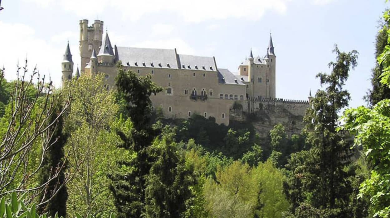 Romeral de San Marcos (Jardín de Leandro Silva) 1