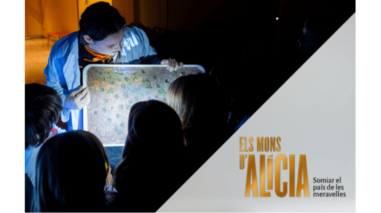 Visita-taller familiar: Buscant l’Alícia (+5 anys) 1
