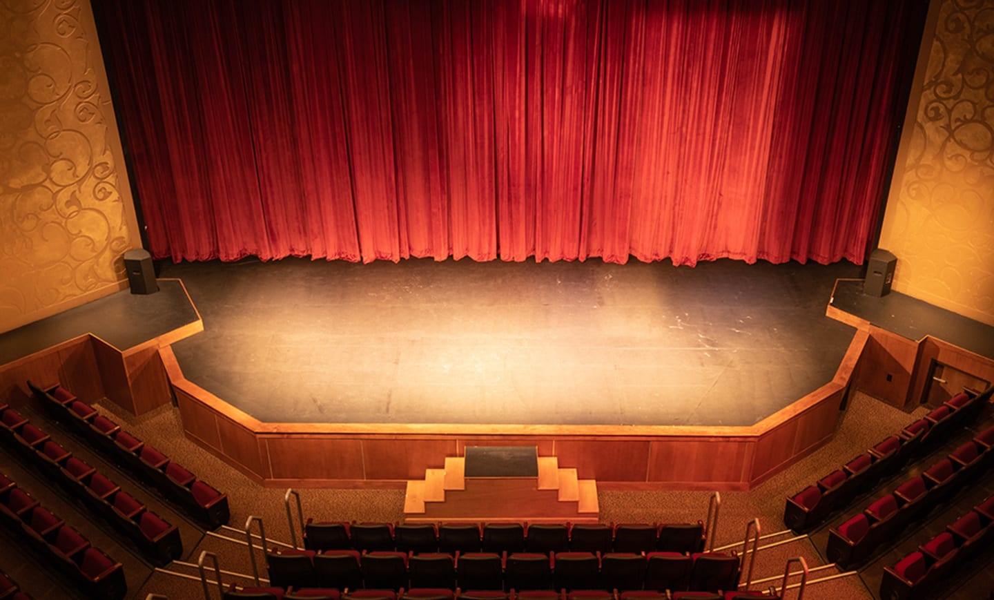 The Elaine Wolf Theatre 1