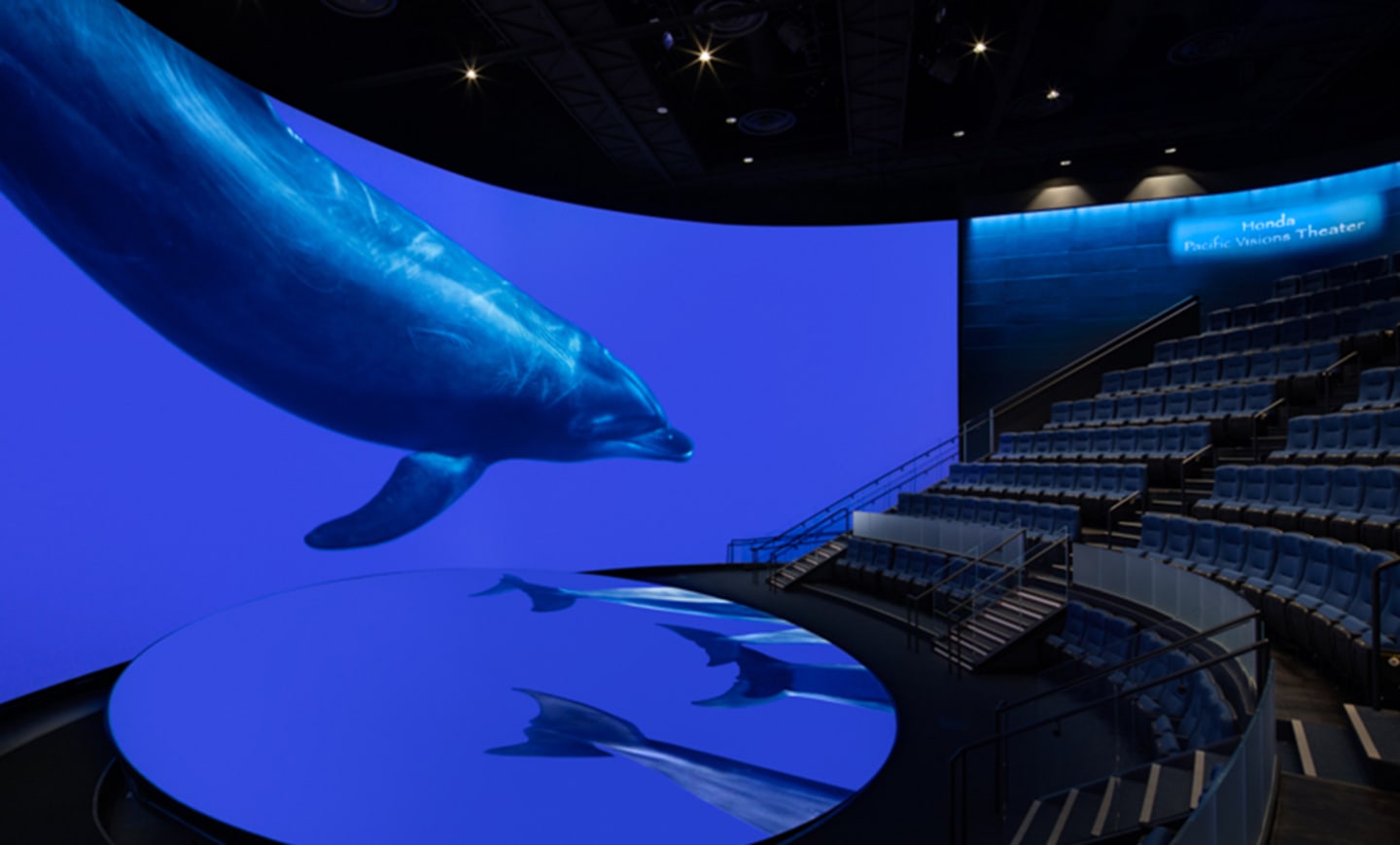 Aquarium of the Pacific 2