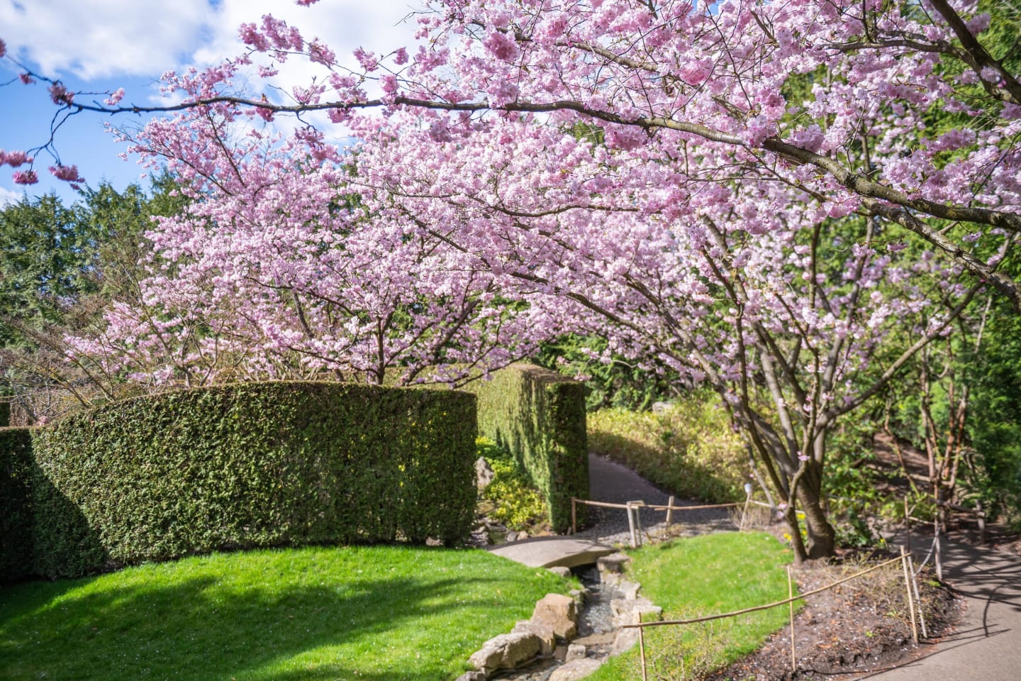Gardens of the World 3