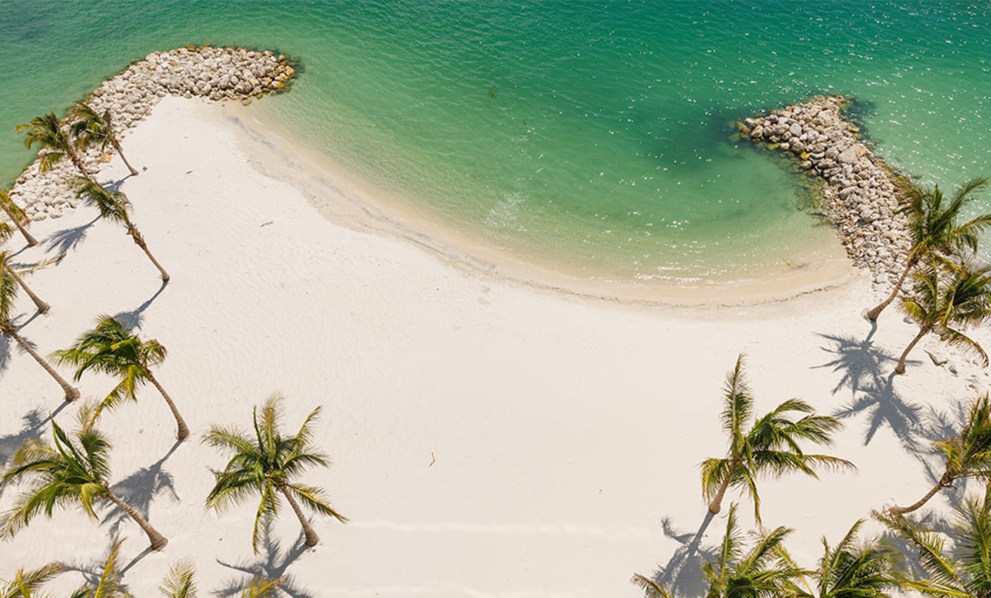 JW Marriott Clearwater Beach Resort & Spa 2