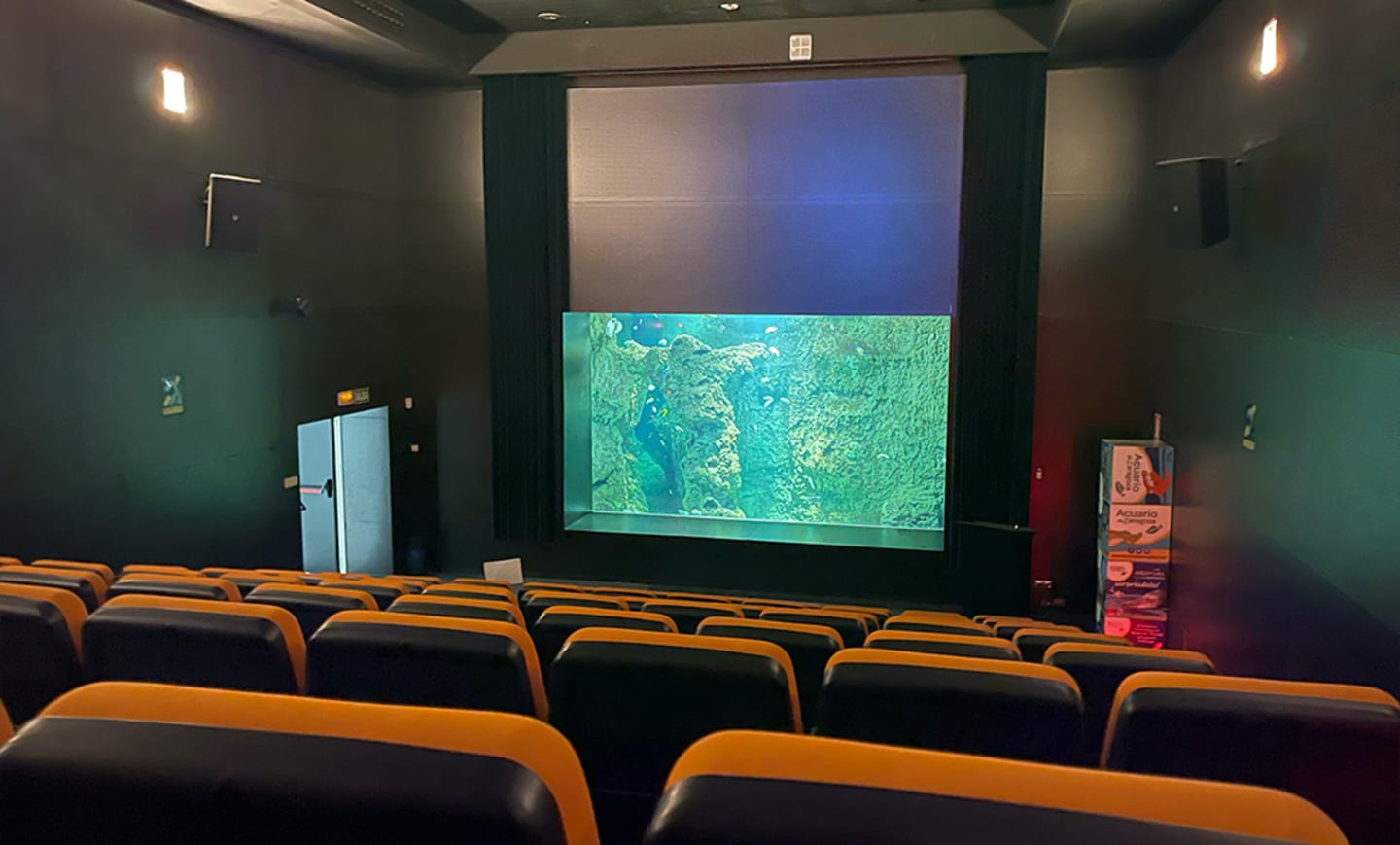 Acuario de Zaragoza 1