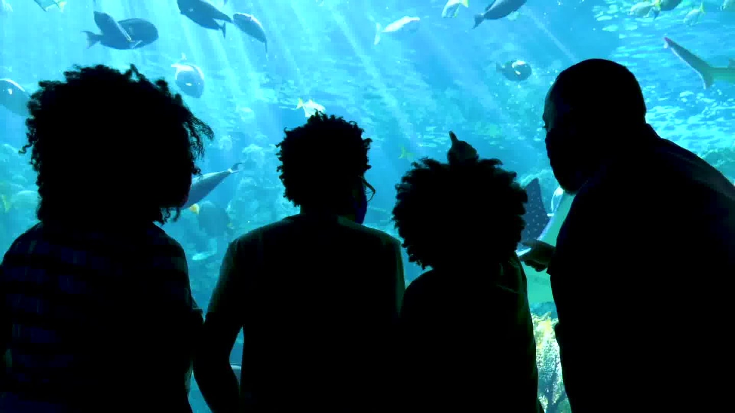Aquarium of the Pacific 3