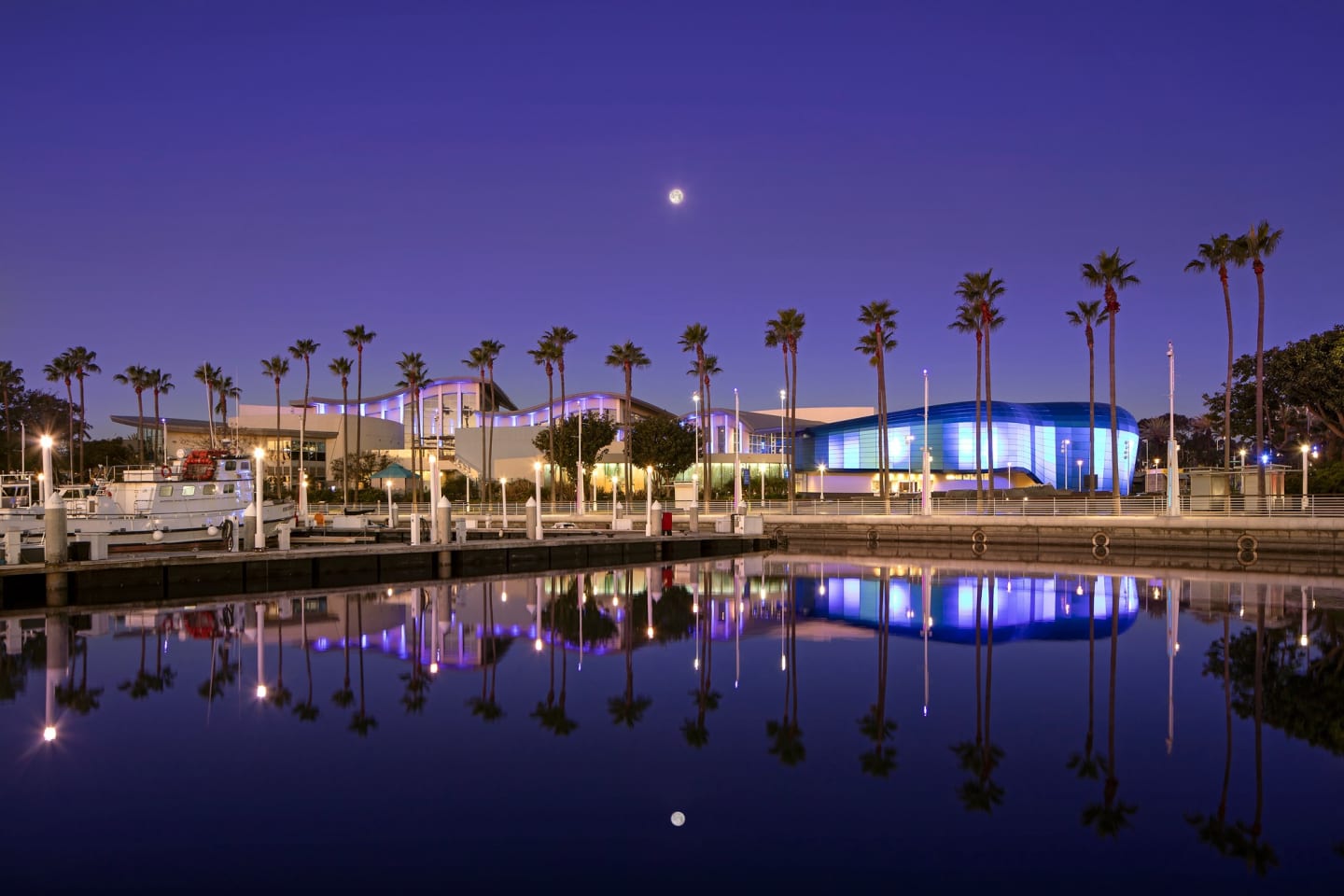 Aquarium of the Pacific 4
