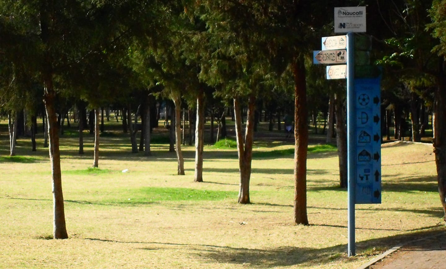 Parque Naucalli 3