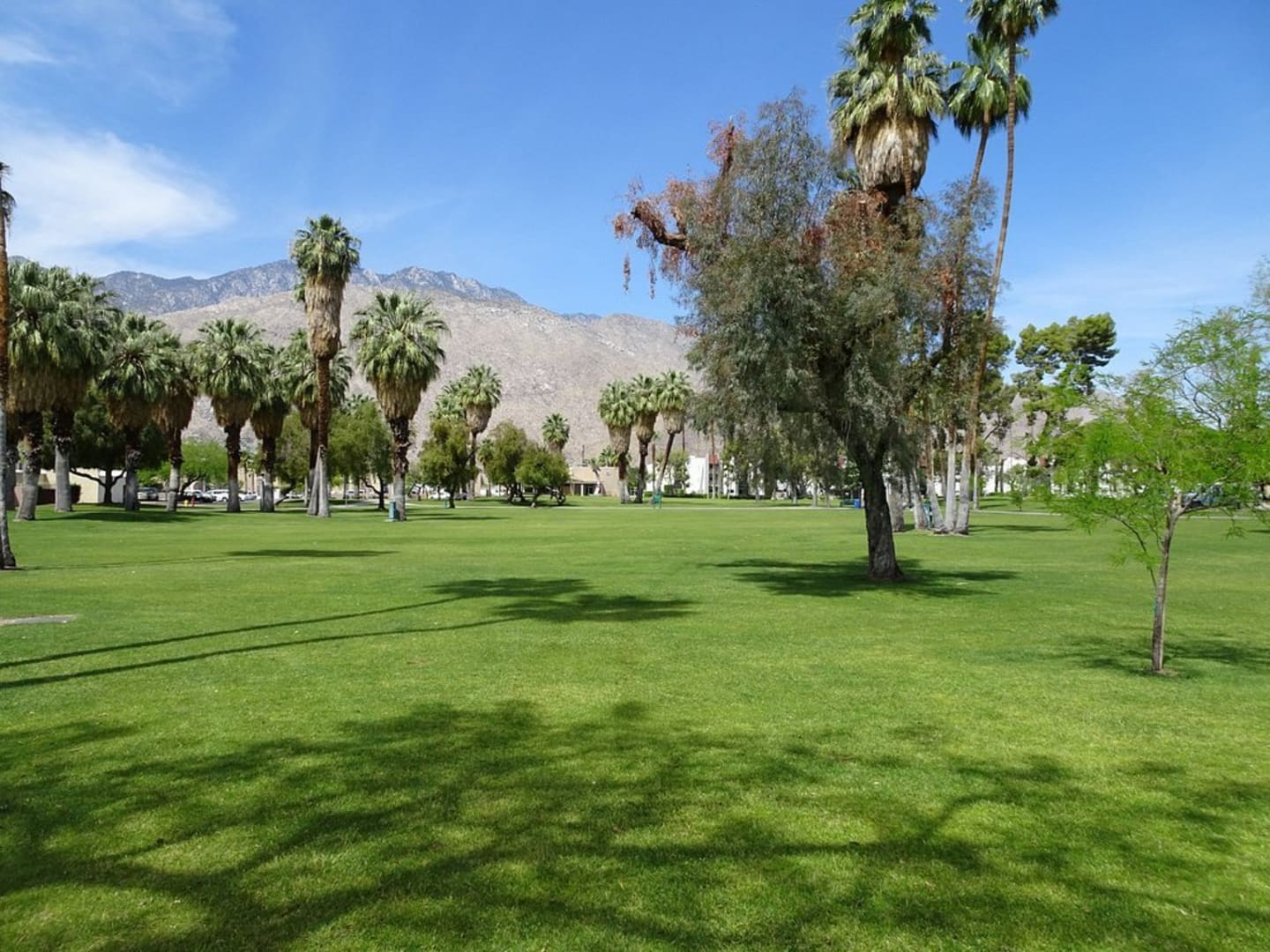 Cerritos Field 1