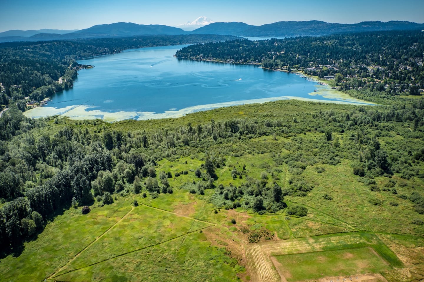Marymoor Park 1