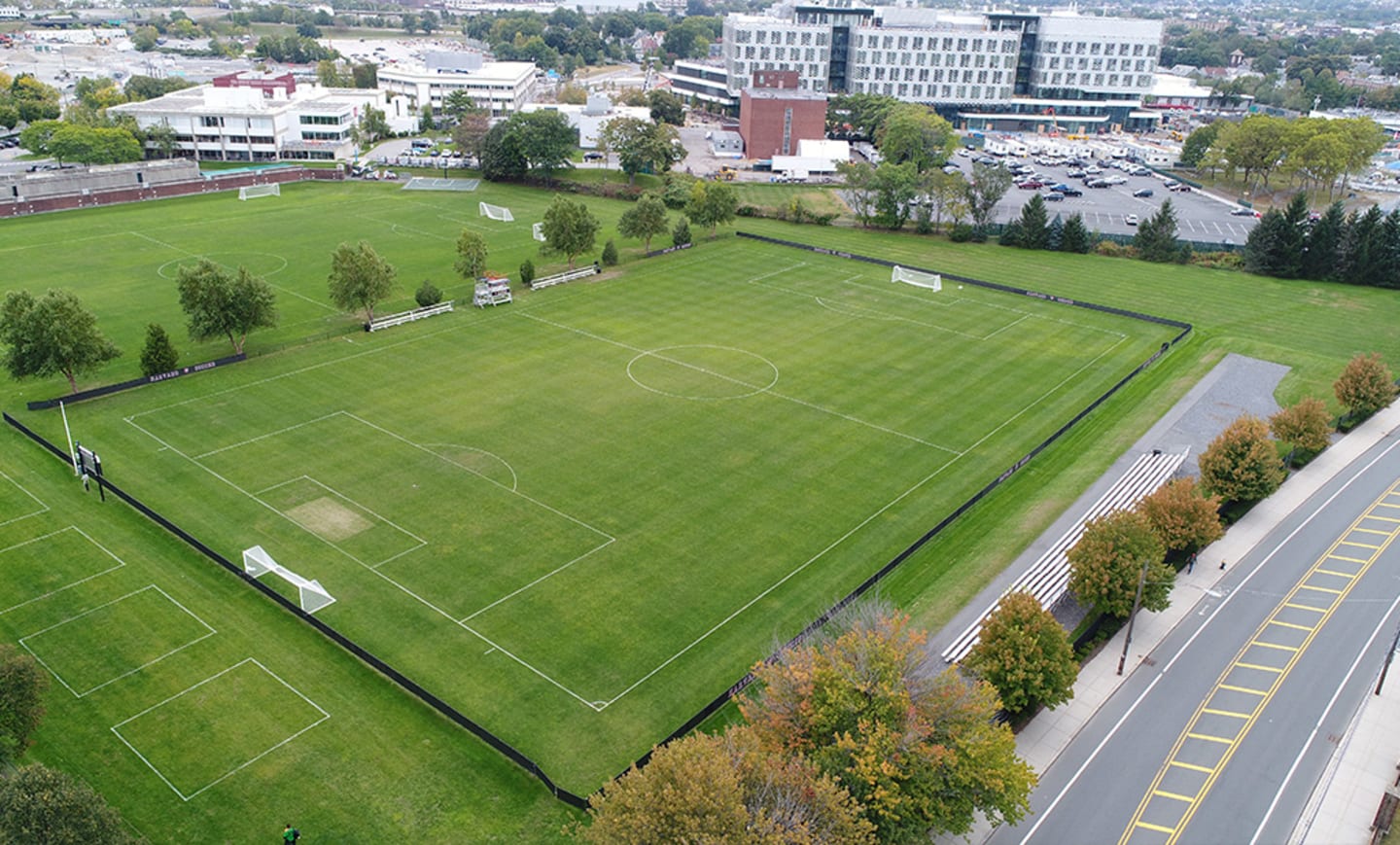 Ohiri Field 2