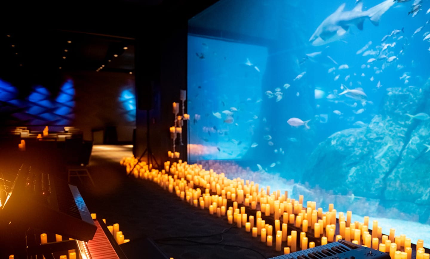 Adventure Aquarium 1
