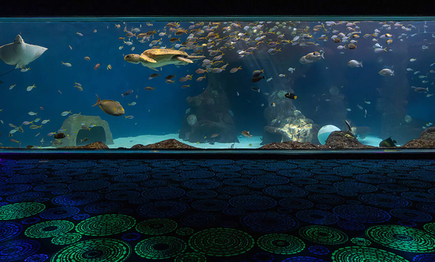 The Florida Aquarium 2