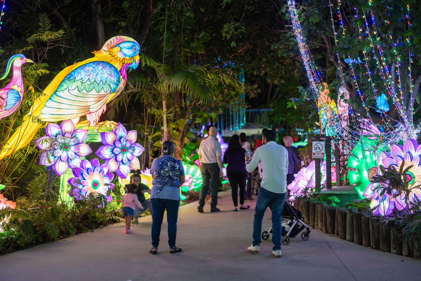 Jungle Island 1