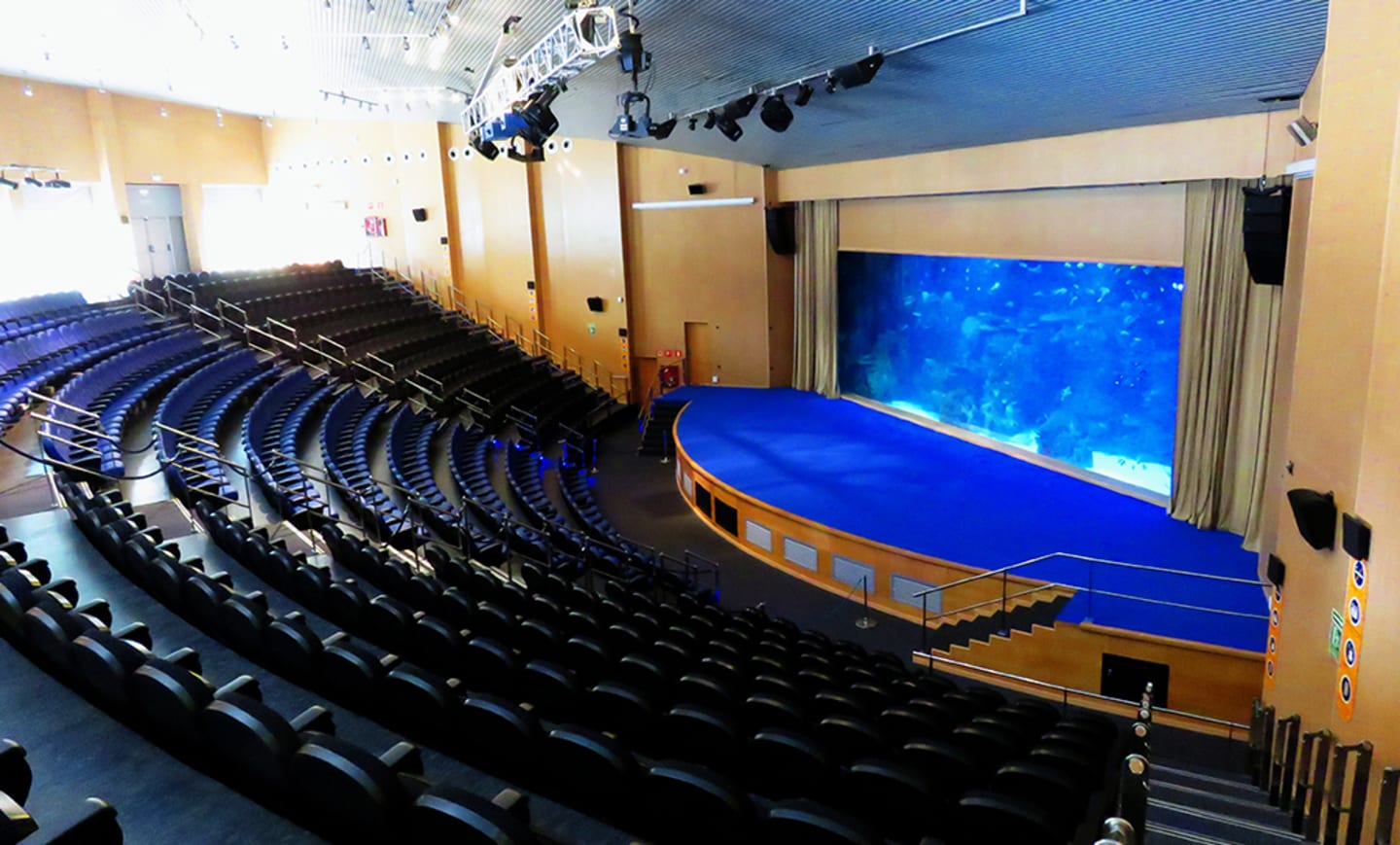 Auditorio Mar Rojo - Oceanogràfic València 1