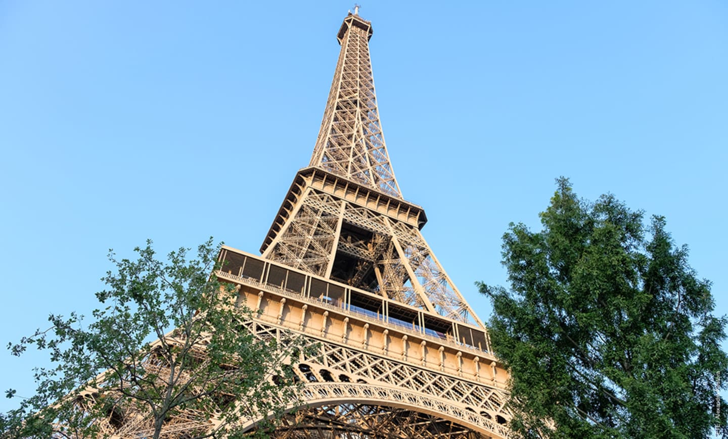 Eiffel Tower 1