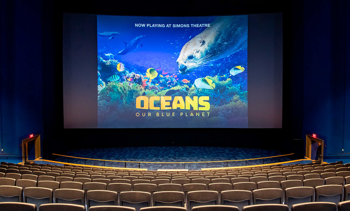Simons Theatre 1