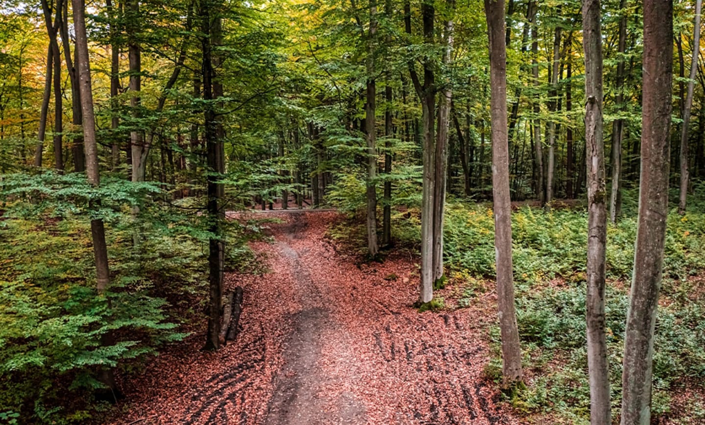 Franklin D. Roosevelt State Park 3