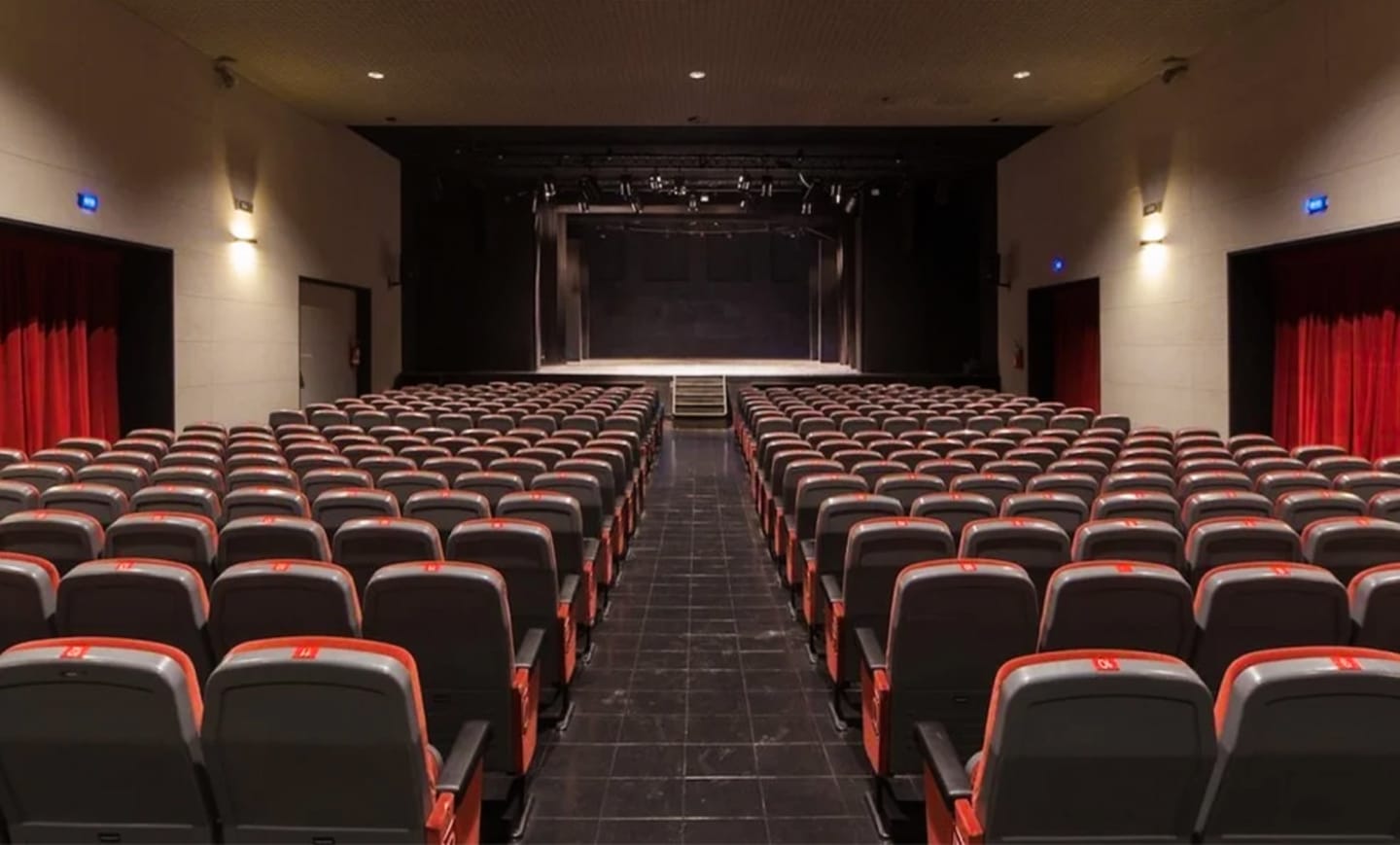 Teatro Leonardo da Vinci 1