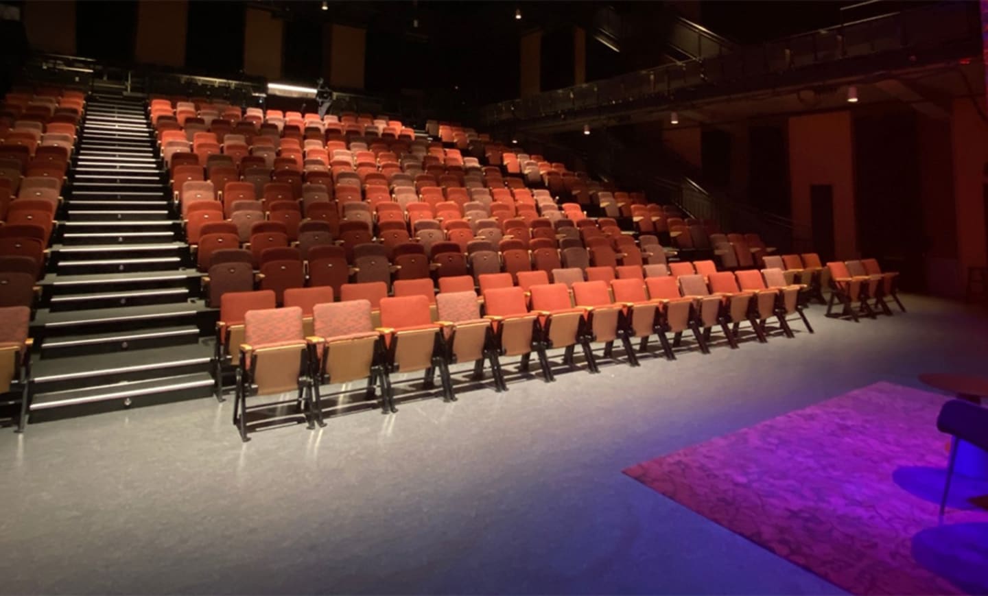SFU Goldcorp Centre for the Arts 4