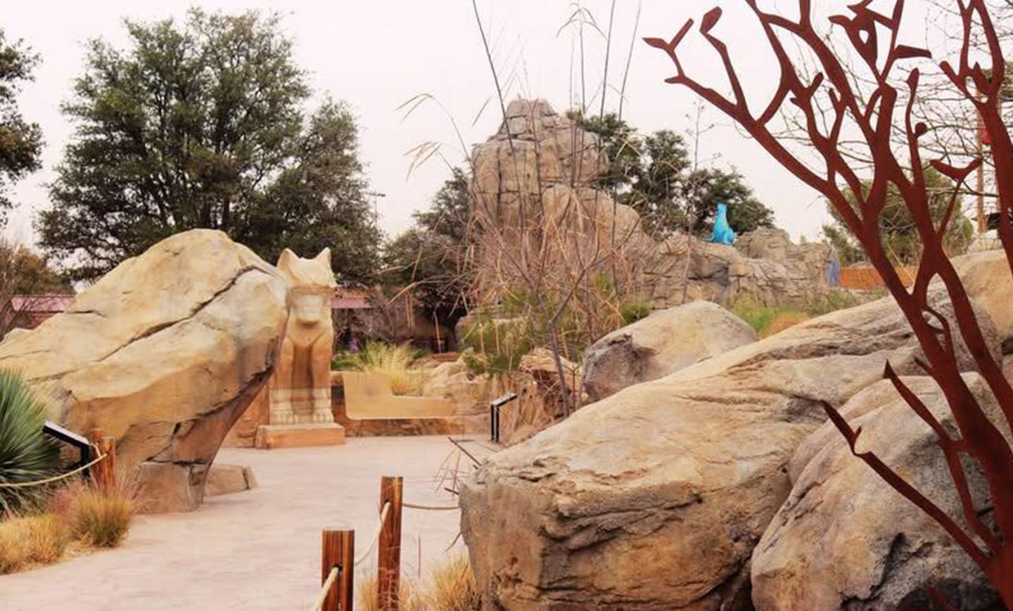 El Paso Zoo 1