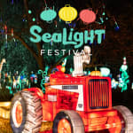 SeaLight Festival - Waitlist