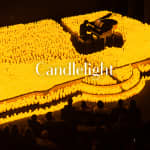 Candlelight: Tribute to Michael Jackson