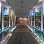 The Wine Experience: discover everything about wine