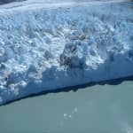 Glacier & Wildlife Discovery Tour