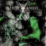 White Rabbit Techno