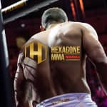 HEXAGONE MMA - THÉÂTRE ANTIQUE D'ORANGE - Liste d'attente