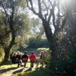 El arte de parar: un sábado entero en la sierra