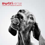 Nutriverse by Royal Canin®