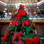 Ceia de Natal no Hilton São Paulo Morumbi