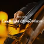 Candlelight Cherry Blossom: Spring-themed K-POP Special