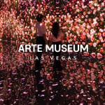 ﻿MUSEO DE ARTE: Una exposición de arte multimedia inmersiva