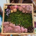 Moss Wall Workshop